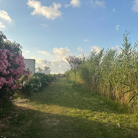 La Maison De Domi Vic-la-Gardiole